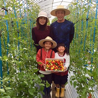 ふるさと納税 玉名市 サザキ農園のカラフルミニトマト彩りバラエティーセット3kg