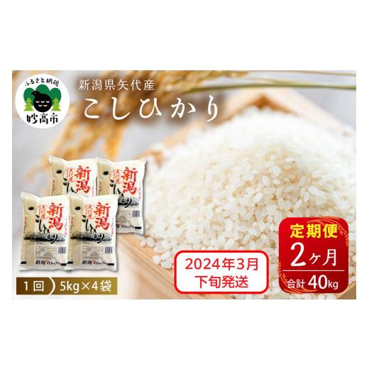 ふるさと納税 新潟県 妙高市 新潟県矢代産コシヒカリ20kg(5kg×4袋)×2回（計40kg）