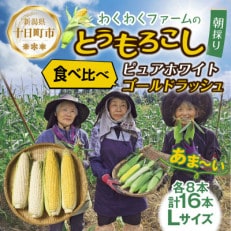 わくわくファームのとうもろこし「イエローホワイト」食べ比べ Lサイズ 各8本