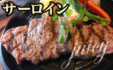 黒毛和牛サーロインステーキ200g×2枚_16-3301_(都城市) 牛肉 サーロインステーキ 200g×1枚×2パック 計400g ステーキ用カット