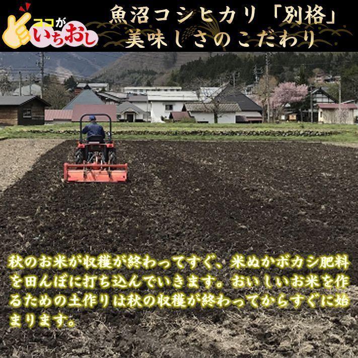 新米 令和5年 米 お米 5kg 新潟県魚沼産コシヒカリ 「別格」 白米5kg（5kg×1） 令和５年産米 有機質肥料栽培米