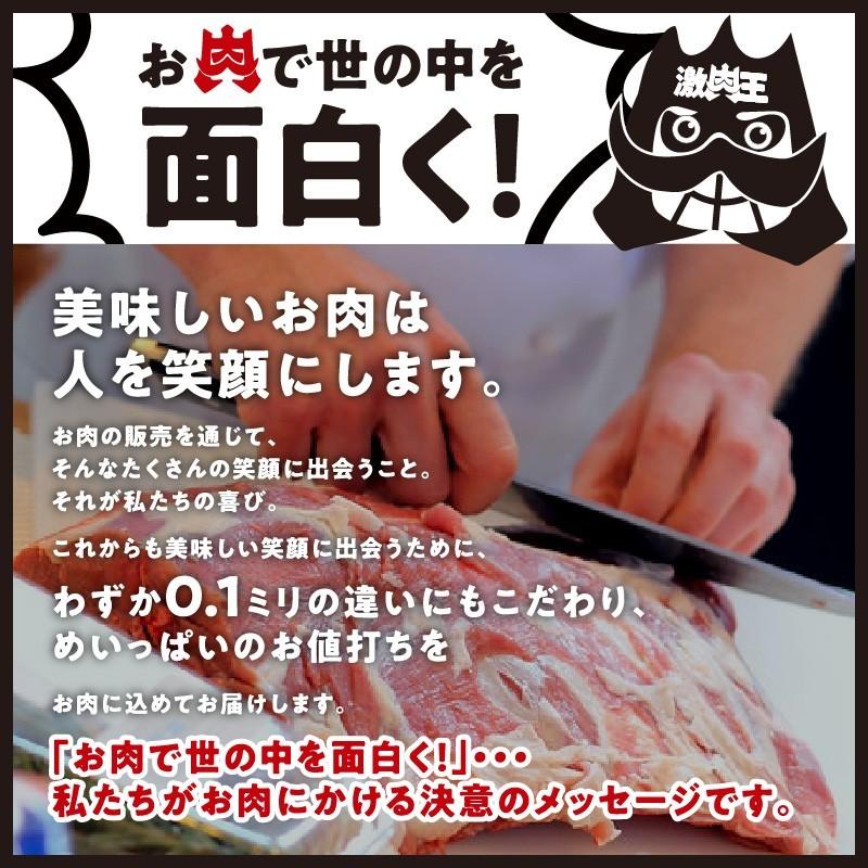 メガ盛り 焼肉セット 肉 訳あり 送料無料 福袋 牛タン ホルモン カルビ ハラミ ロース 焼肉 bbq お取り寄せ グルメ ギフト 食品 メガ盛り 3.4kg