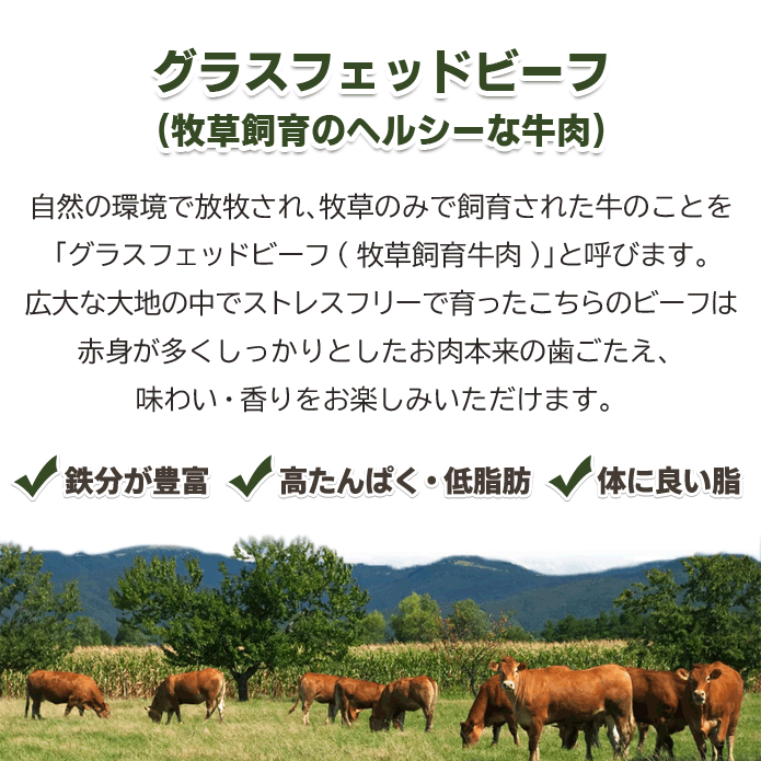 ステーキ ブロック肉 牛肉 サーロイン ブロック 500g×2パック 合計1kg BBQ バーベキュー グラスフェッドビーフ 塊肉