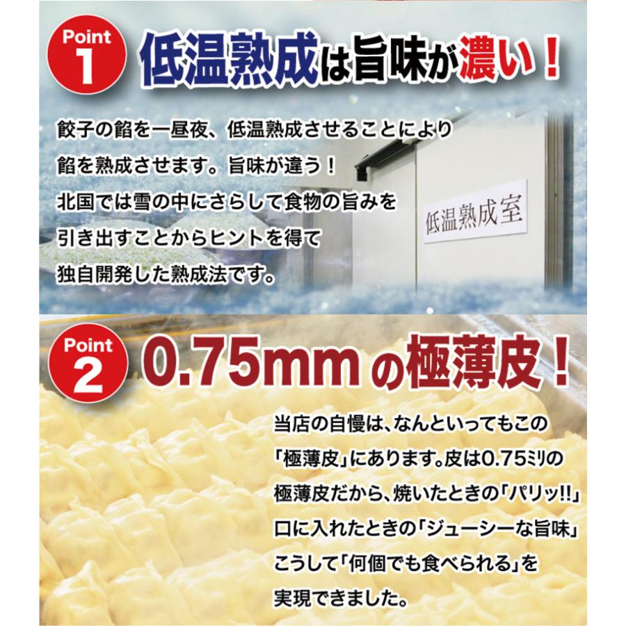 ギフト 健太餃子 シソ餃子 お肉餃子×各2パック 栃木 土産 冷凍 ぎょうざ 宇都宮餃子館