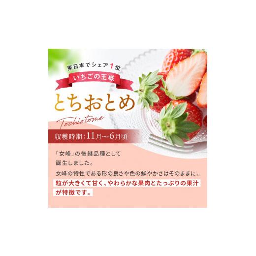 ふるさと納税 栃木県 真岡市 朝採れのいちご とちおとめ 3000g 真岡市 栃木県 送料無料