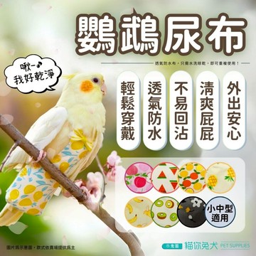 【台灣現貨】貓你兔犬 鸚鵡尿布 鸚鵡 鸚鵡用品 鳥尿布 鸚鵡衣服 鸚鵡外出 鳥用品 和尚鸚鵡 鸚鵡尿布衣 鸚鵡飛行衣