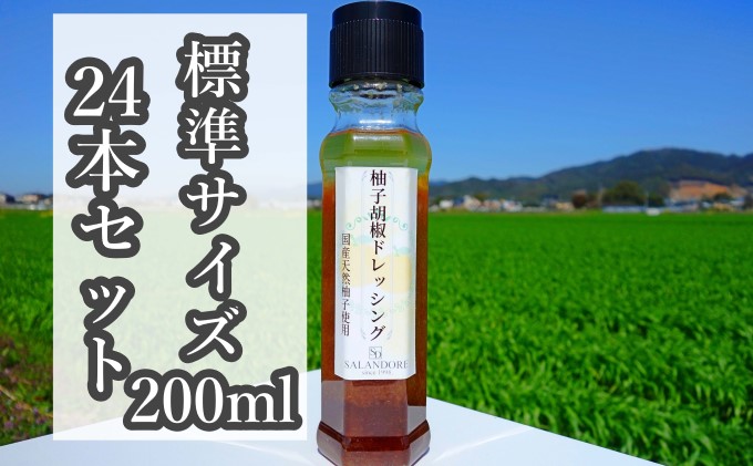 （標準サイズ200ml）24本セット