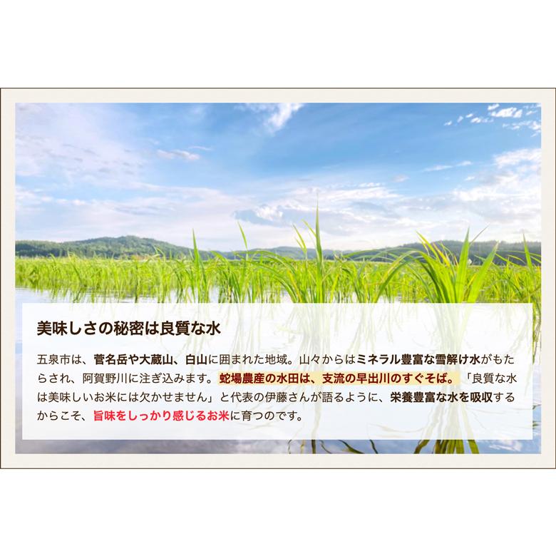 新潟県産コシヒカリ 精米5kg 株式会社 蛇場農産 送料無料