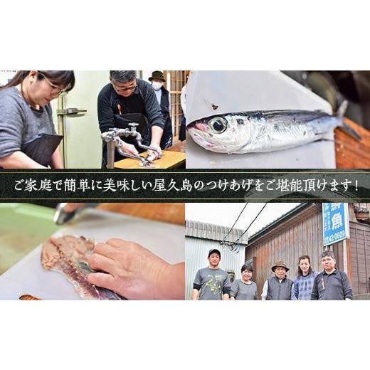 ふるさと納税 鹿児島県 屋久島町 屋久島 魚すりみ 360g×6パック＜屋久島名産のトビウオ使用＞