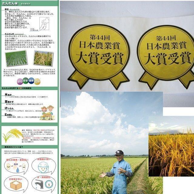 米 岩手県産米 食べ比べ 乾式無洗米 ２Kｇ 袋×２種類比較米 送料無料