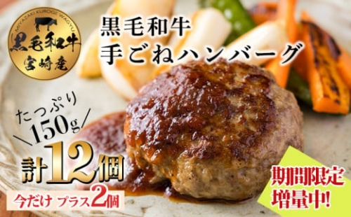  黒毛和牛100% ハンバーグステーキ (12個) 国産牛100% 国産 牛肉 日本産 お肉 お惣菜 一人暮らし 1人暮らし 独り暮らし 時短調理 時短料理 簡単調理 簡単料理 送料無料 12000円 1万円台