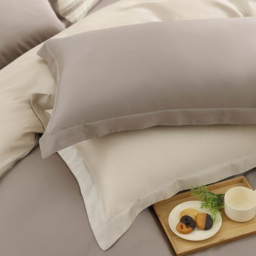 鴻宇 HongYew - 枕套2入/ 天絲300織 / 素色 天絲 萊賽爾-芙米勒