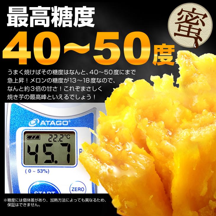 さつまいも 5kg 安納芋・極ちび 種子島産 ご家庭用 送料無料 食品