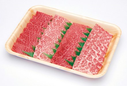 A5 飛騨牛 霜降もも 焼肉 500ｇ ≪冷凍≫ 化粧箱入 和牛 国産 国産和牛 肉 国産牛 匠家 b529  