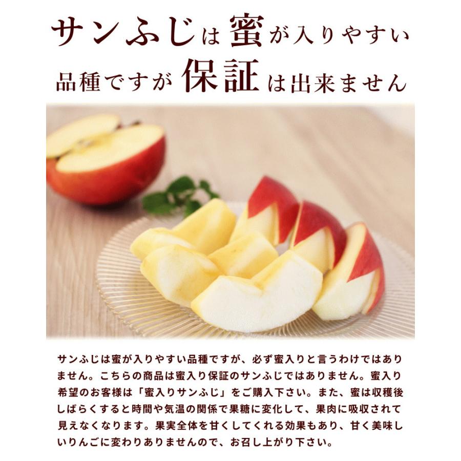 りんご サンふじ 山形県 東根市 サンふじ 秀品 5kg 18個 ギフト お歳暮 11月下旬頃から発送 送料込