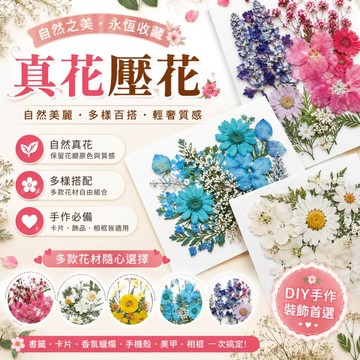 真花壓花 乾燥花DIY DIY水晶滴膠 壓花書籤 美甲壓花 相框裝飾  手帳素材 手工藝花材