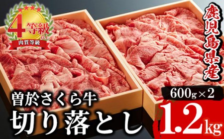 希少！曽於さくら牛 切り落とし1,2kg(600g×2箱) 黒毛和牛 切り落とし 冷凍B61