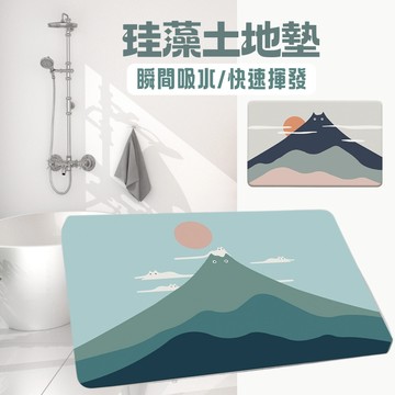 【台灣現貨】珪藻土地墊 地墊 浴室地墊 矽藻土地墊 吸水地墊 軟地墊