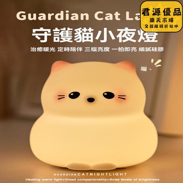 小夜燈 守護貓小夜燈 創意小夜燈 小眾小夜燈 高級感小夜燈  床頭燈 氛圍燈 夜燈 氣氛燈