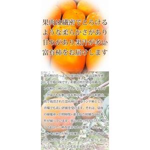 ふるさと納税 和歌山秋の味覚　富有柿　約７．５ｋｇ「2024年11月上旬以降発送予定」 和歌山県高野町