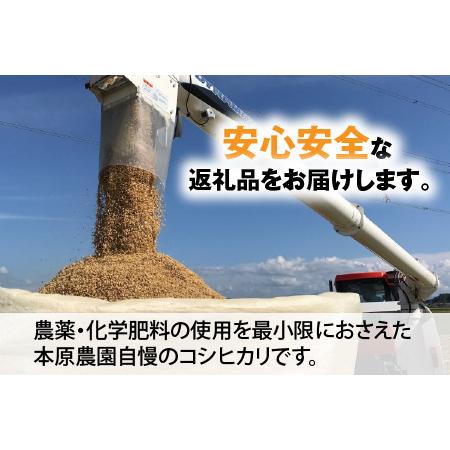 ふるさと納税 福井県産 コシヒカリ20kg 〜本原農園からまごころコメて〜 [B-8941_03] 福井県坂井市