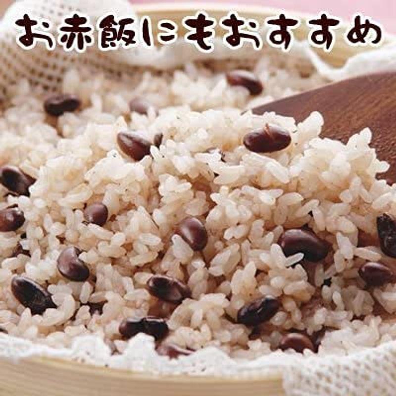 新潟県産 白米 こがねもち米 5kg 令和4年産