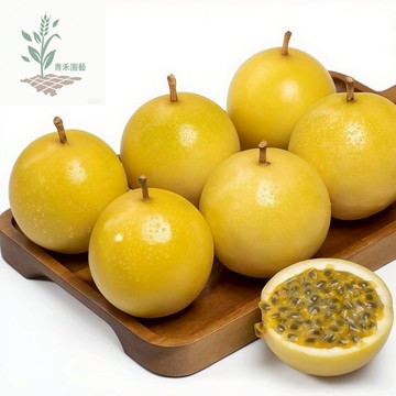 青禾園藝（黃金百香果種子）BXG-2 黃皮超甜高產耐高溫熱帶水果之王新手四季播種爬藤水果種子#Passion Fruit