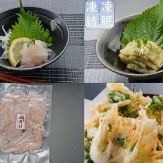 ”富山湾の宝石”白エビ３種（殻付き・刺身・昆布〆）〈冷凍〉