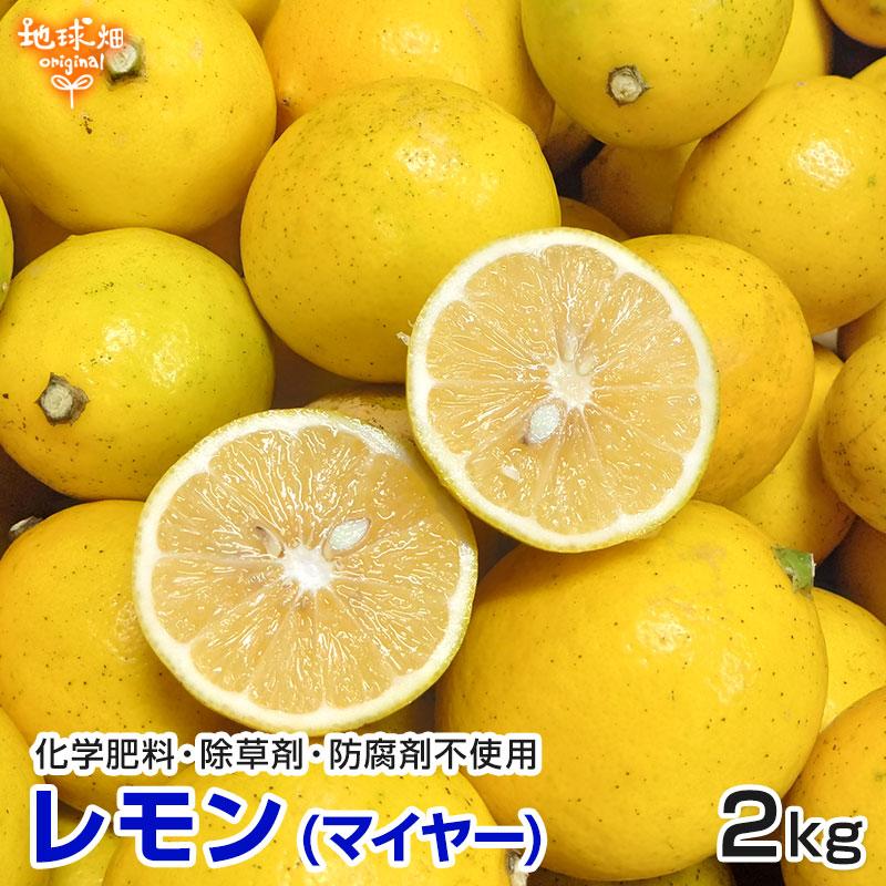 レモン (マイヤー) 2kg 熊本県産 鹿児島県産 化学肥料・除草剤・防腐剤不使用 ノーワックス 国産 マイヤーレモン 大きさおまかせ 特別栽培 発送期間9月末〜12月