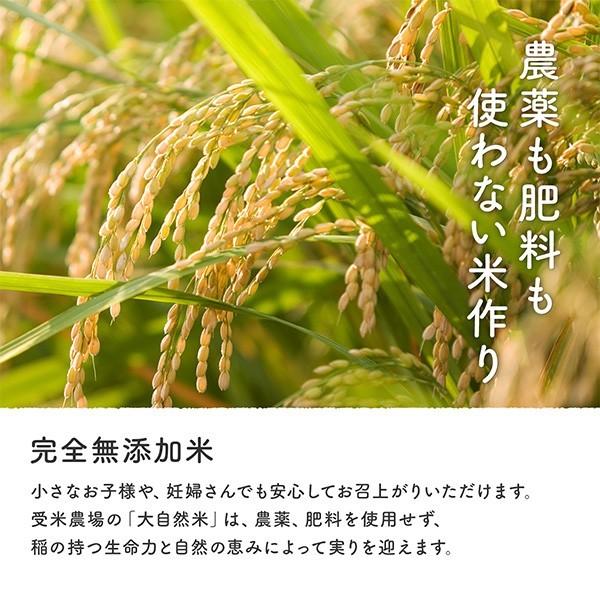 熊本県完全無農薬・肥料不使用　玄米10kg　送料無料