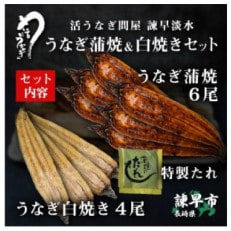 うなぎ蒲焼6尾白焼き4尾セット