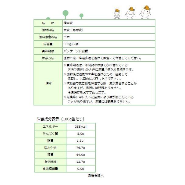 ポイント15倍 国内産もち麦 計1kg(500g×2袋) 100％国内産もち麦(大麦)使用 (メール便 送料無料)(SL)