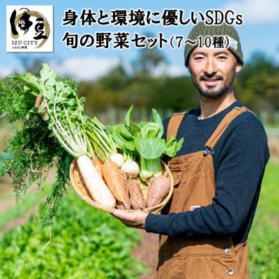 ふるさと納税 伊豆市 身体と環境に優しいSDGs旬の野菜セット