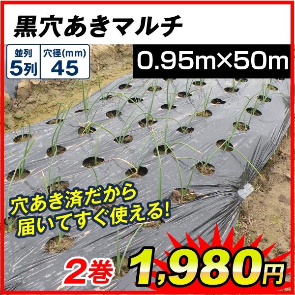 農業用マルチシート 農ポリ 黒穴あきマルチ 5列45 0.95×50m 2巻組 農用 マルチ マルチング 被覆資材 ポリエチレン 防草 地温上昇 国華園