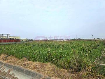 佳里超便宜蚶寮段開心農場｜台南市佳里區蚶寮
