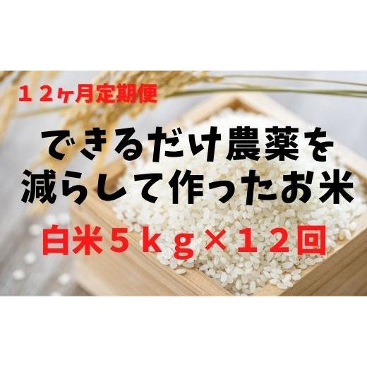 ふるさと納税 茨城県 行方市 BI-80 12ヶ月定期便白米または玄米　5kg×12回