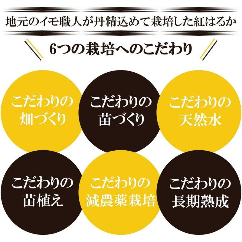 焼き芋 さつまいも 紅はるか 1kg サツマイモ 冷凍焼き芋 焼きいも 薩摩芋 石焼き芋 芋 いも イモ 鹿児島県産 FJK-003