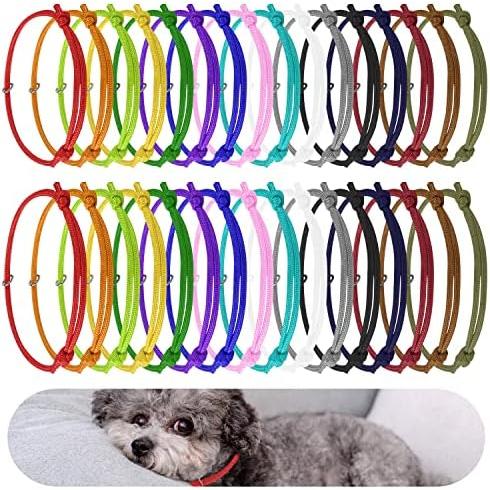 Pack of puppy outlet collars