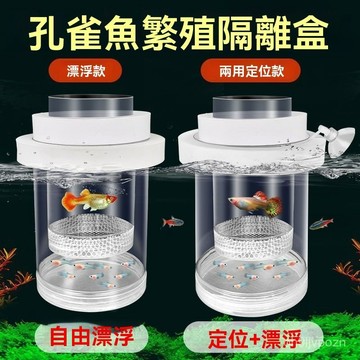 🏆免運+臺灣倉出貨🏆孔雀魚繁殖隔離盒鳳尾魚孕母魚胎生魚産卵孵化分離器小魚苗專用網