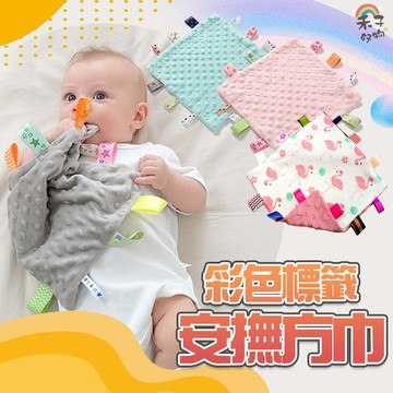 台灣現貨 彩色標籤安撫巾 25X25方巾 標籤安撫巾 安撫巾 泡泡毯巾 安撫荳荳巾【B11075】