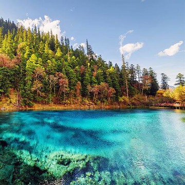 春光乍現九寨溝黃龍仙境之旅8日(4月)-文化交流團