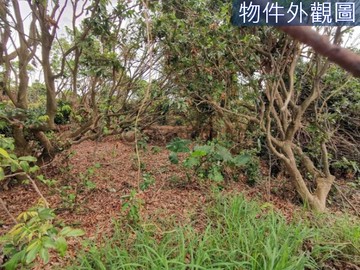 大樹大坪方正農地|臨路寬大車好出入好調度機具｜高雄市大樹區大樹保安段