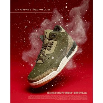 【逢甲 FUZZY】Air Jordan 3 Retro Family Affair 橄欖綠 DN3707-202