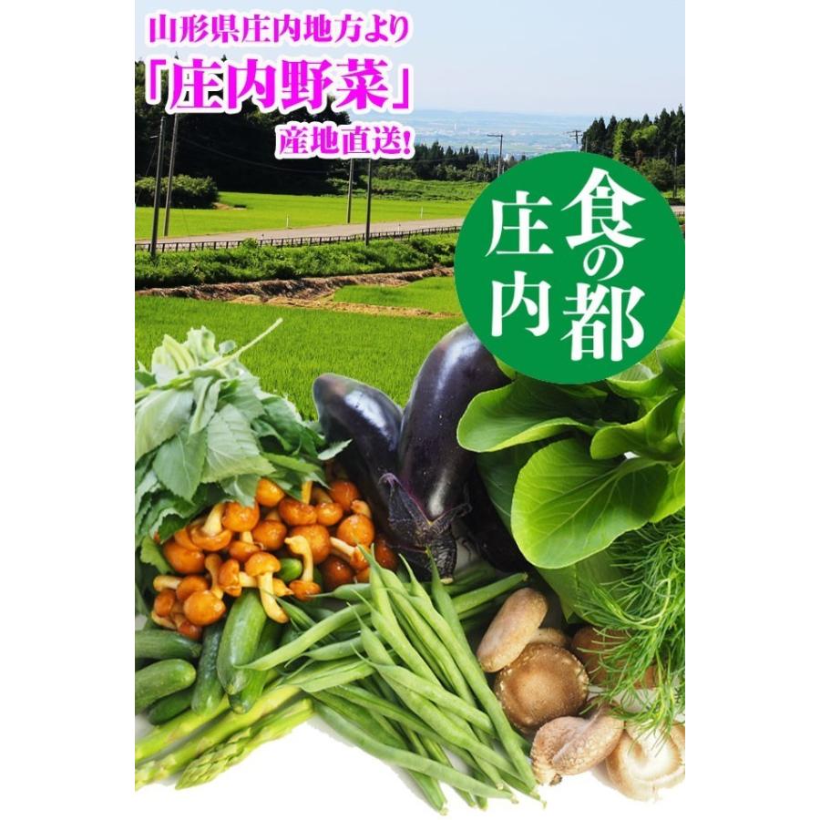 庄内 野菜セット 8品 送料無料 おまかせ　山形県庄内産 野菜詰め合わせ 新鮮 地物野菜