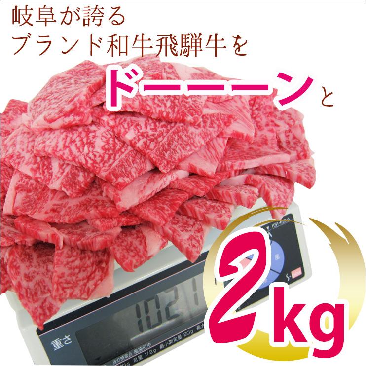 肉 福袋 牛肉 焼肉セット 飛騨牛 メガ盛 カルビ 2kg 約8人〜10人 焼肉 焼き肉 黒毛和牛 バーベキュー バーベキューセット