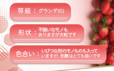 福岡県産 あまおうG以上 1000g（4パック） 先行予約 2024年1月～3月上旬にかけて順次発送予定 TY033