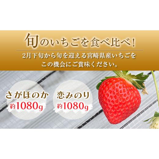 ふるさと納税 宮崎県 ◇宮崎県産いちご「さがほのか」「恋みのり」食べ比べセット