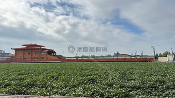 萬丹發重劃區農地|20米面寬|出入便利｜屏東縣萬丹鄉灣內段