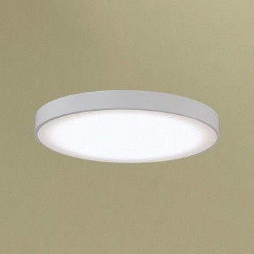 15-21-24W單色溫吸頂燈 B229-30-23174
