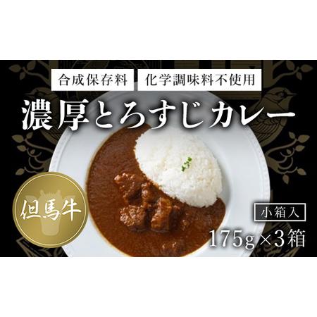 ふるさと納税 無添加(小箱入り175g×3箱)  カレー 但馬牛カレー 濃厚カレー とろすじカレー 京都府 福知山市.. 京都府福知山市